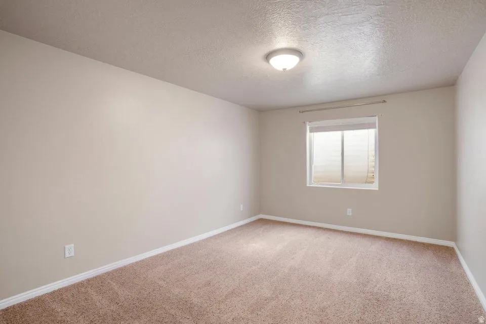 Spacious room featuring neutral carpeting, light-toned walls, a single window with blinds, and a ceiling-mounted light fixture