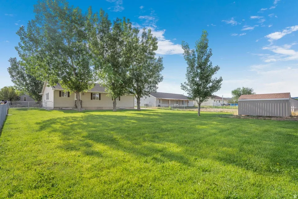 Expansive lawn area featuring mature trees and a dedicated storage shed
