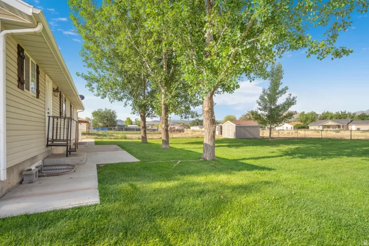 Spacious green lawn featuring mature trees and a detached storage shed