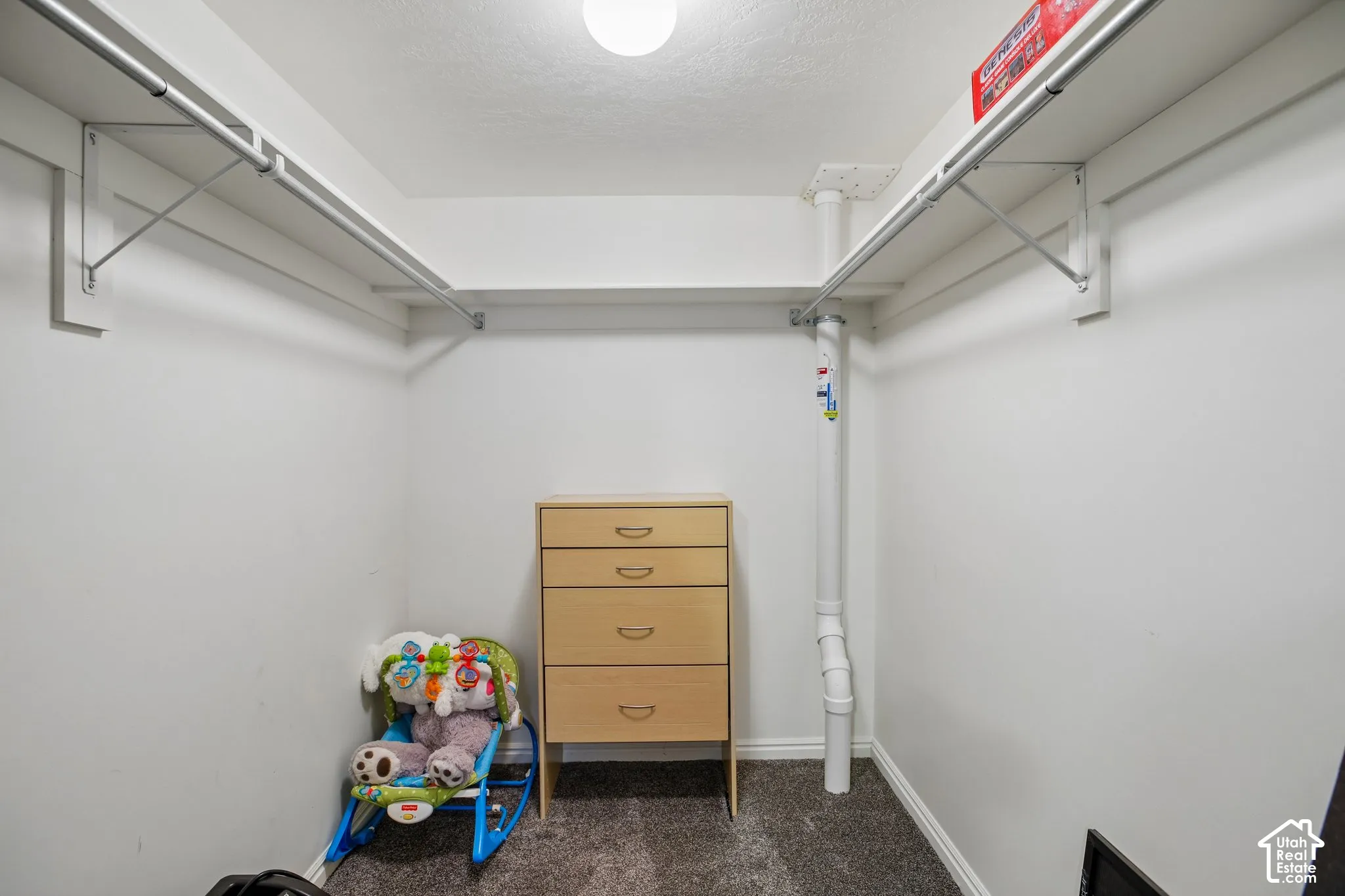 Walk-in closet featuring carpet flooring, built-in shelving, and clothes rods