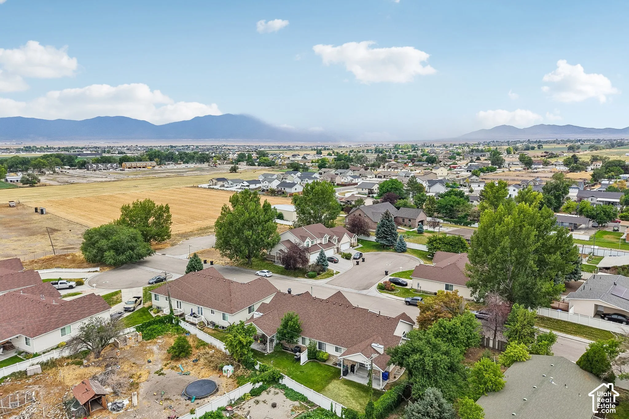 Expansive aerial showcasing a residential neighborhood with varied home styles and mature landscaping
