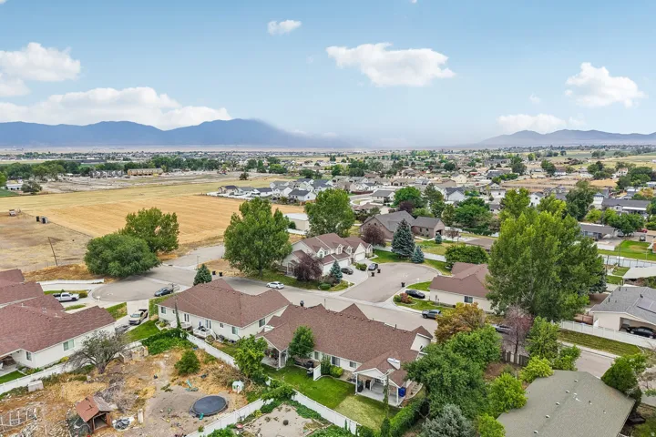 Expansive aerial showcasing a residential neighborhood with varied home styles and mature landscaping