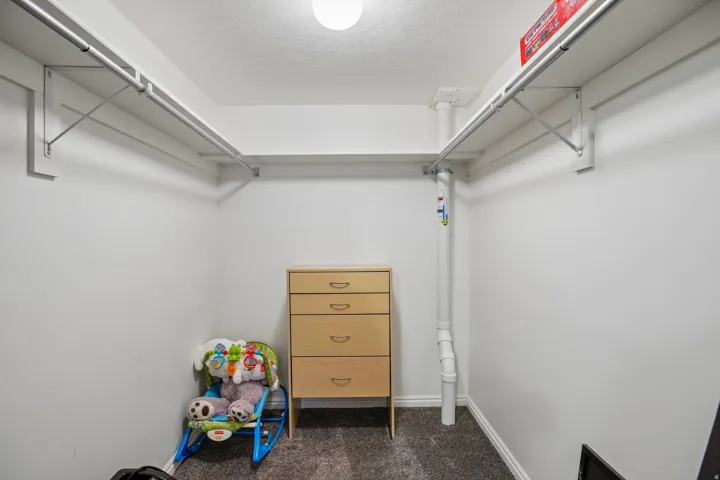 Walk-in closet featuring carpet flooring, built-in shelving, and clothes rods