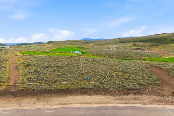 Expansive undeveloped lot with natural ground cover, adjacent to a paved road