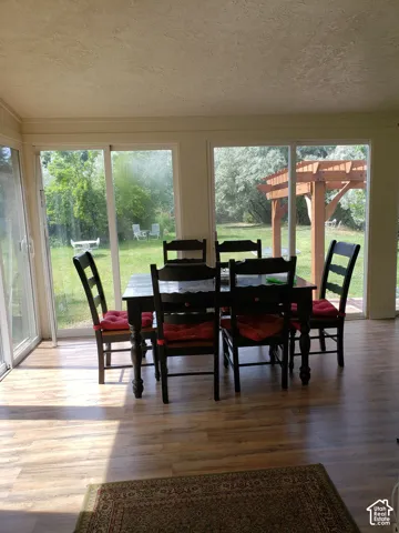 Sunroom with multiple sliding glass doors and wood-finish flooring