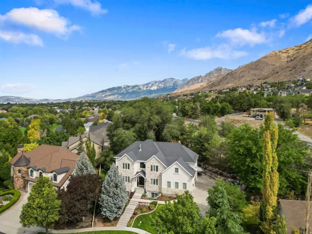 Drone view of Home.  Cul-de-sac in stunning Creekside at Aspen Grove with 4 acre park