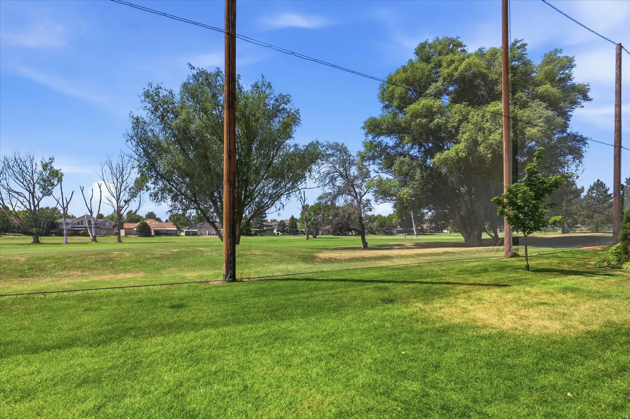 Expansive green space featuring mature trees and distant residential structures under a clear sky