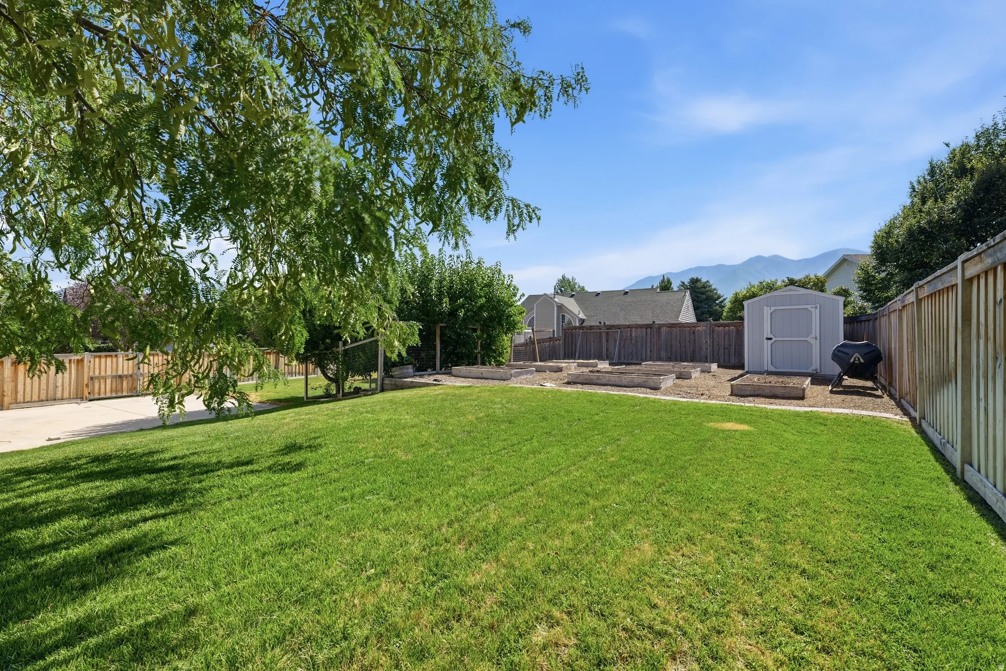 Expansive backyard featuring a lush lawn, mature trees, wood privacy fencing, a storage shed, and multiple raised garden beds