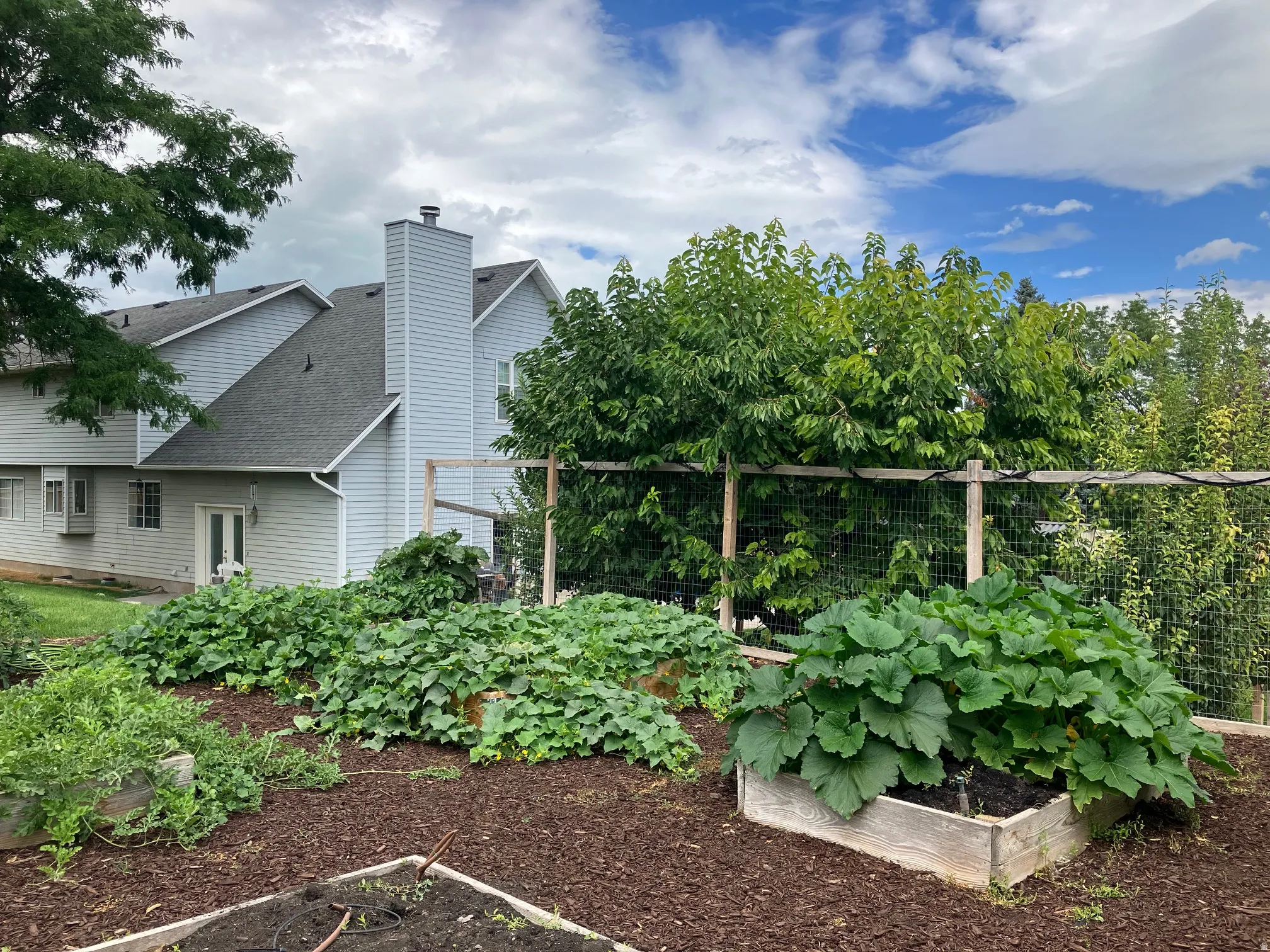 Garden area (seller photo of previous season)