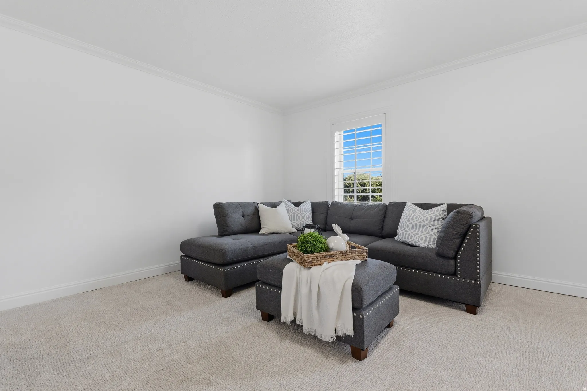 Light-filled room featuring a window with plantation shutters, crown molding, white baseboards, and new carpet flooring