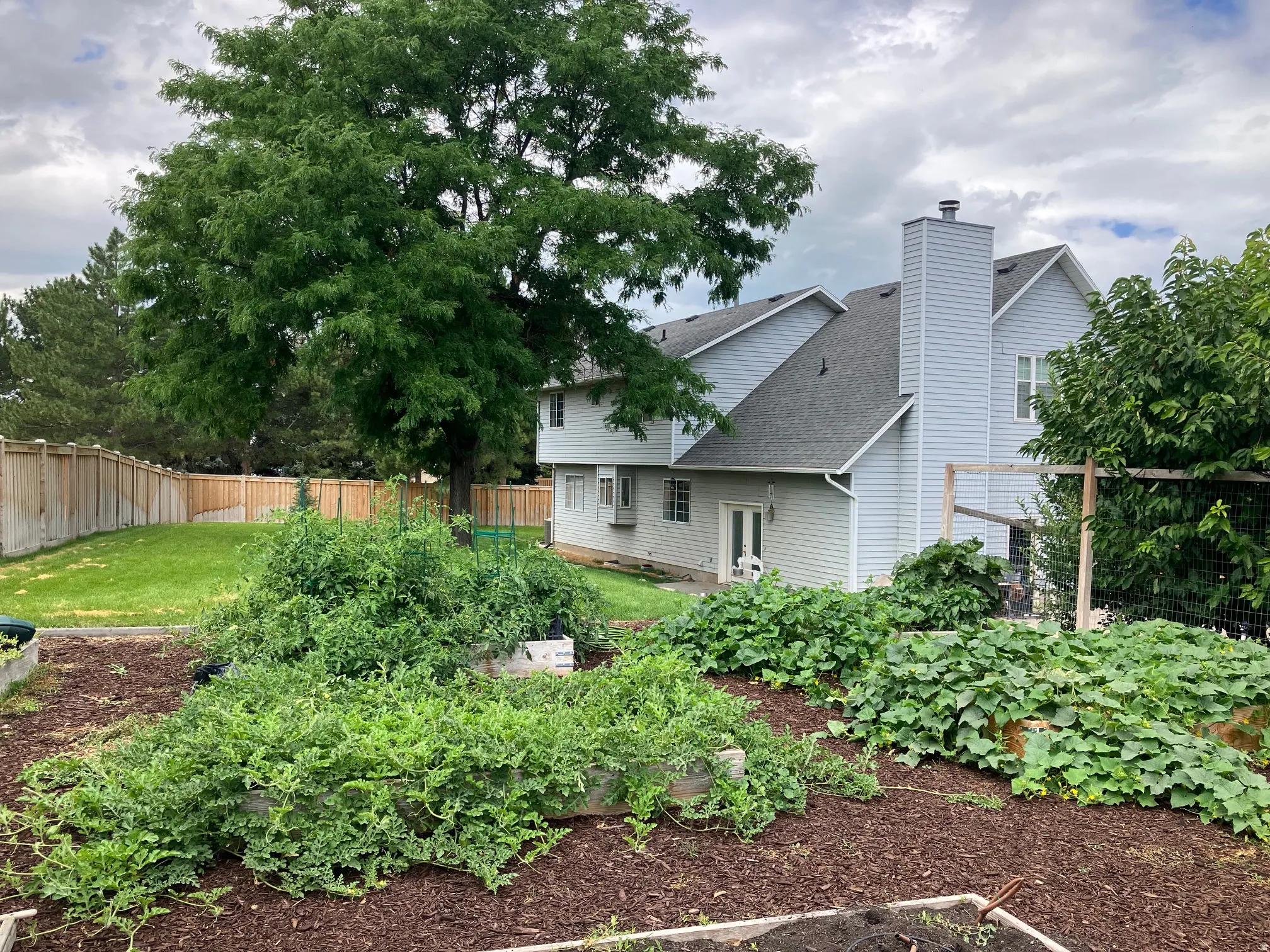 Raised garden beds (seller photo of previous season)