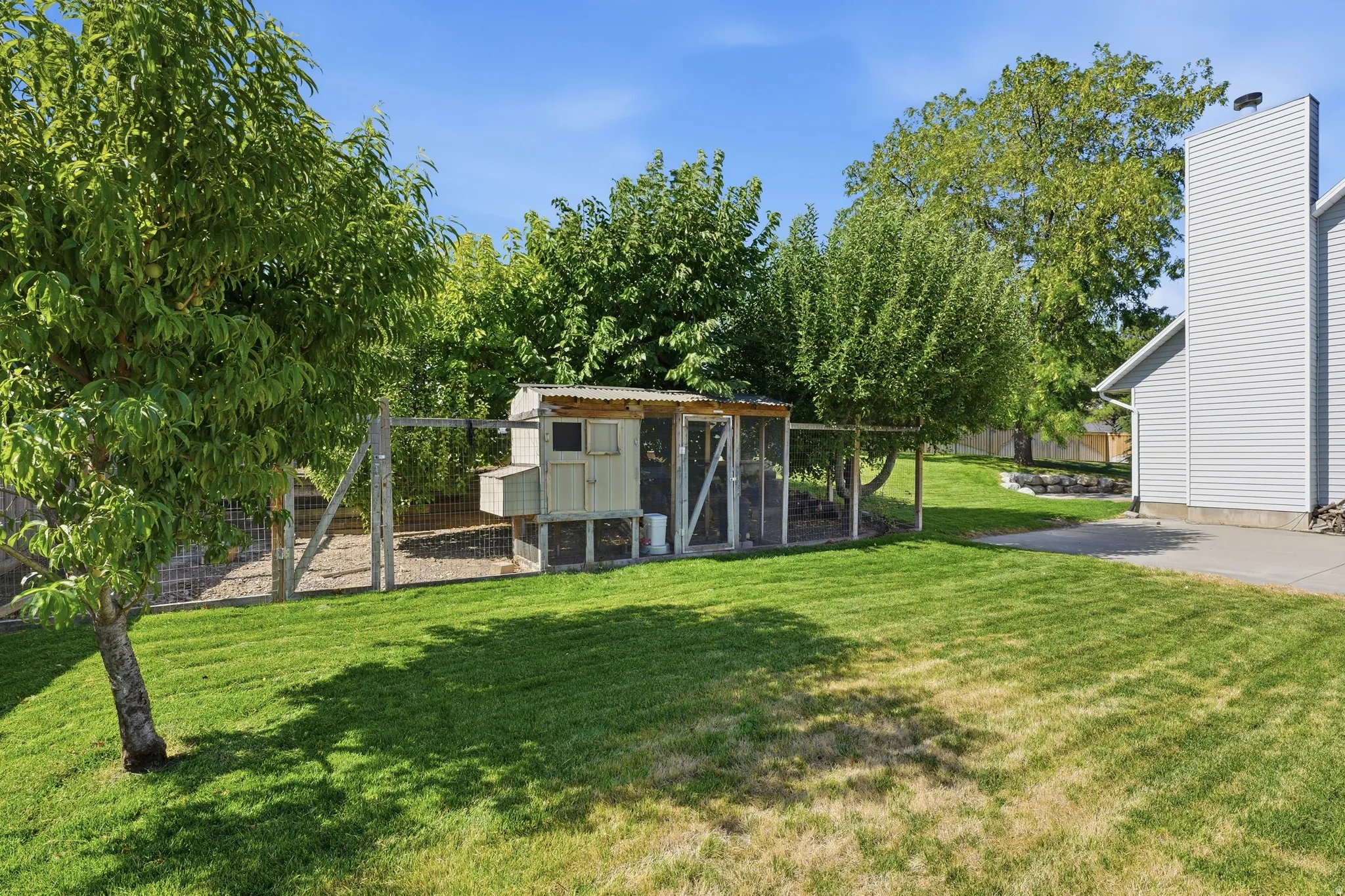 Expansive backyard featuring a chicken coop with an enclosed run, mature trees, and a concrete patio / RV parking