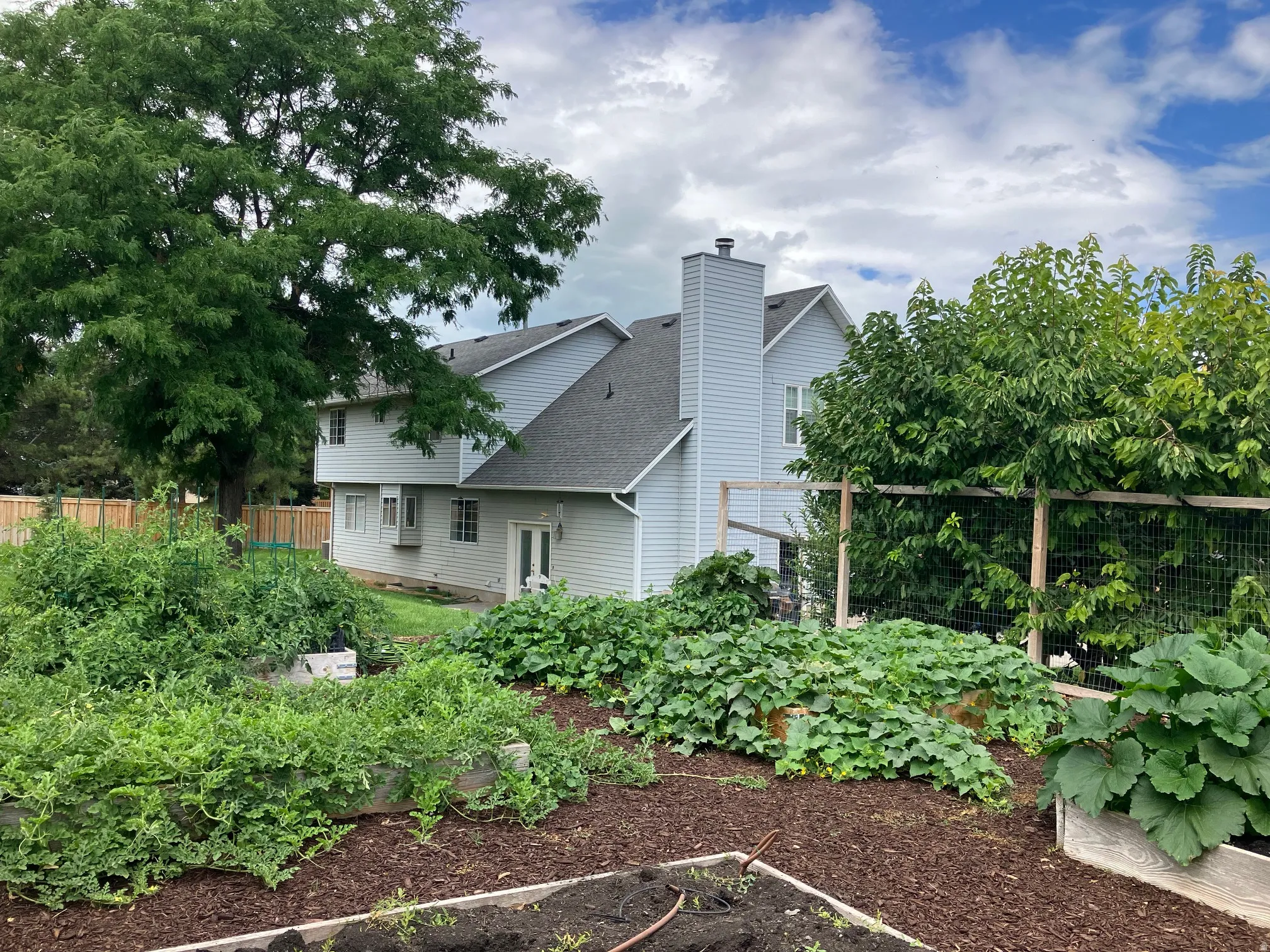 Garden area (seller photo of previous season)