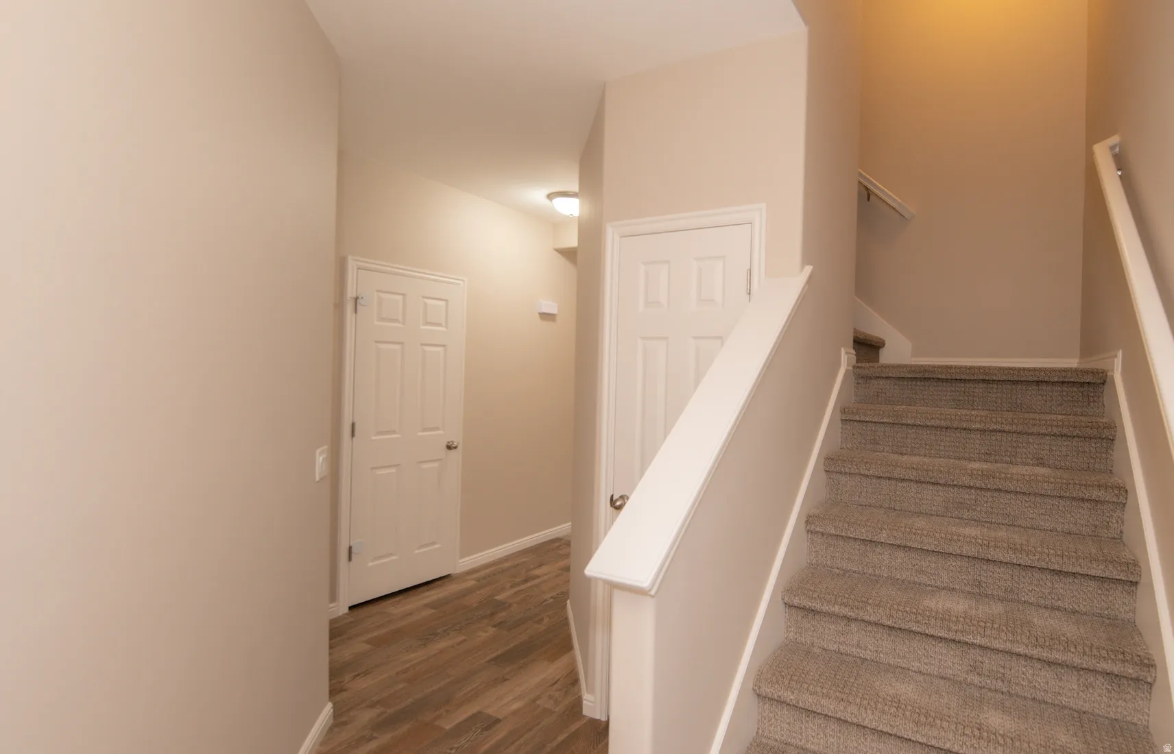 Carpeted staircase with white trim, leading to an upper level