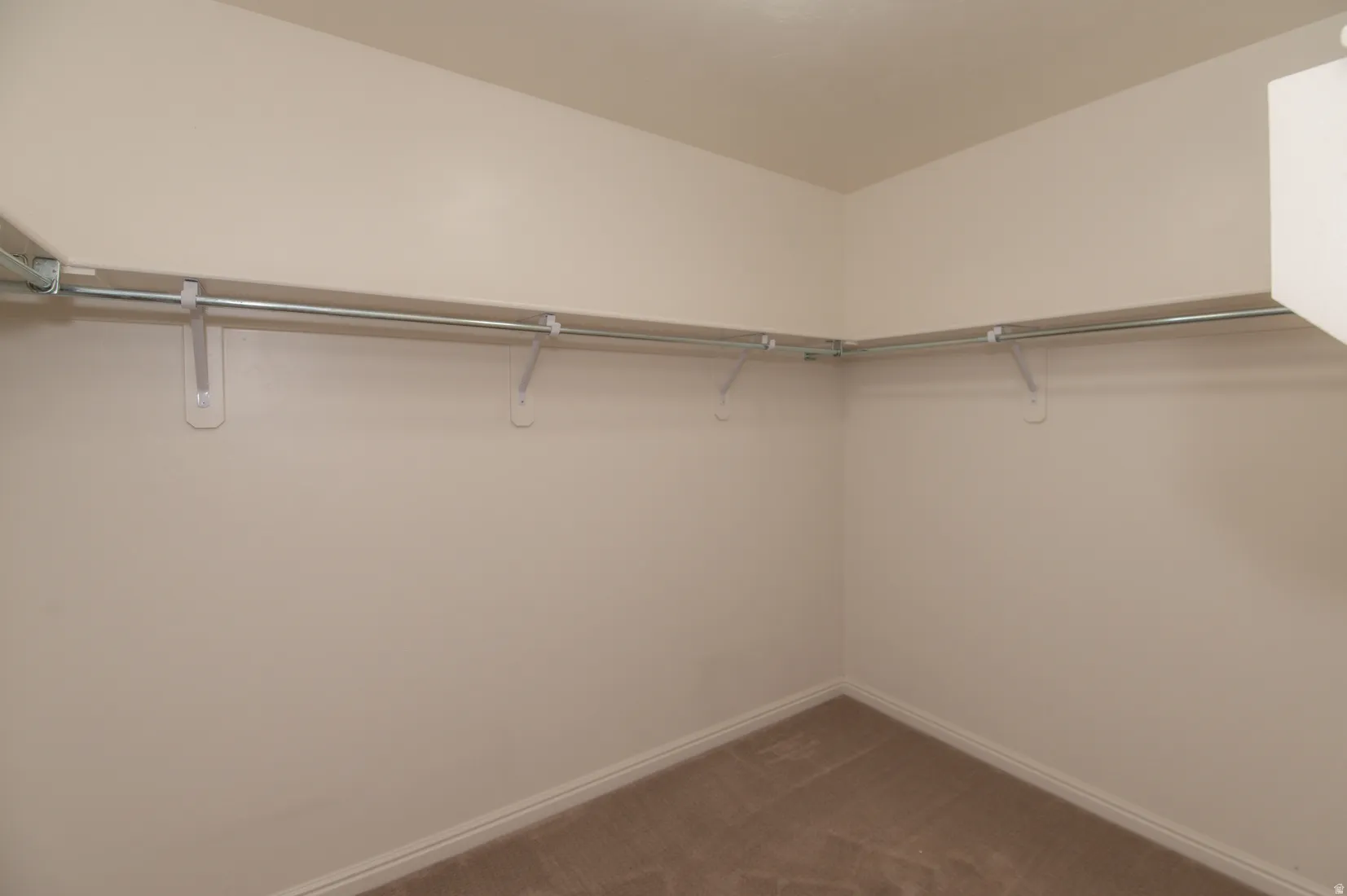 Spacious closet featuring wall-mounted hanging rods, neutral wall paint, and coordinating carpet flooring