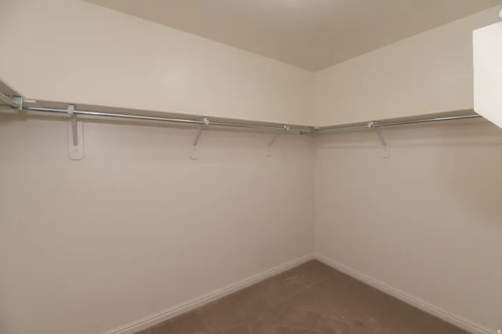 Spacious closet featuring wall-mounted hanging rods, neutral wall paint, and coordinating carpet flooring