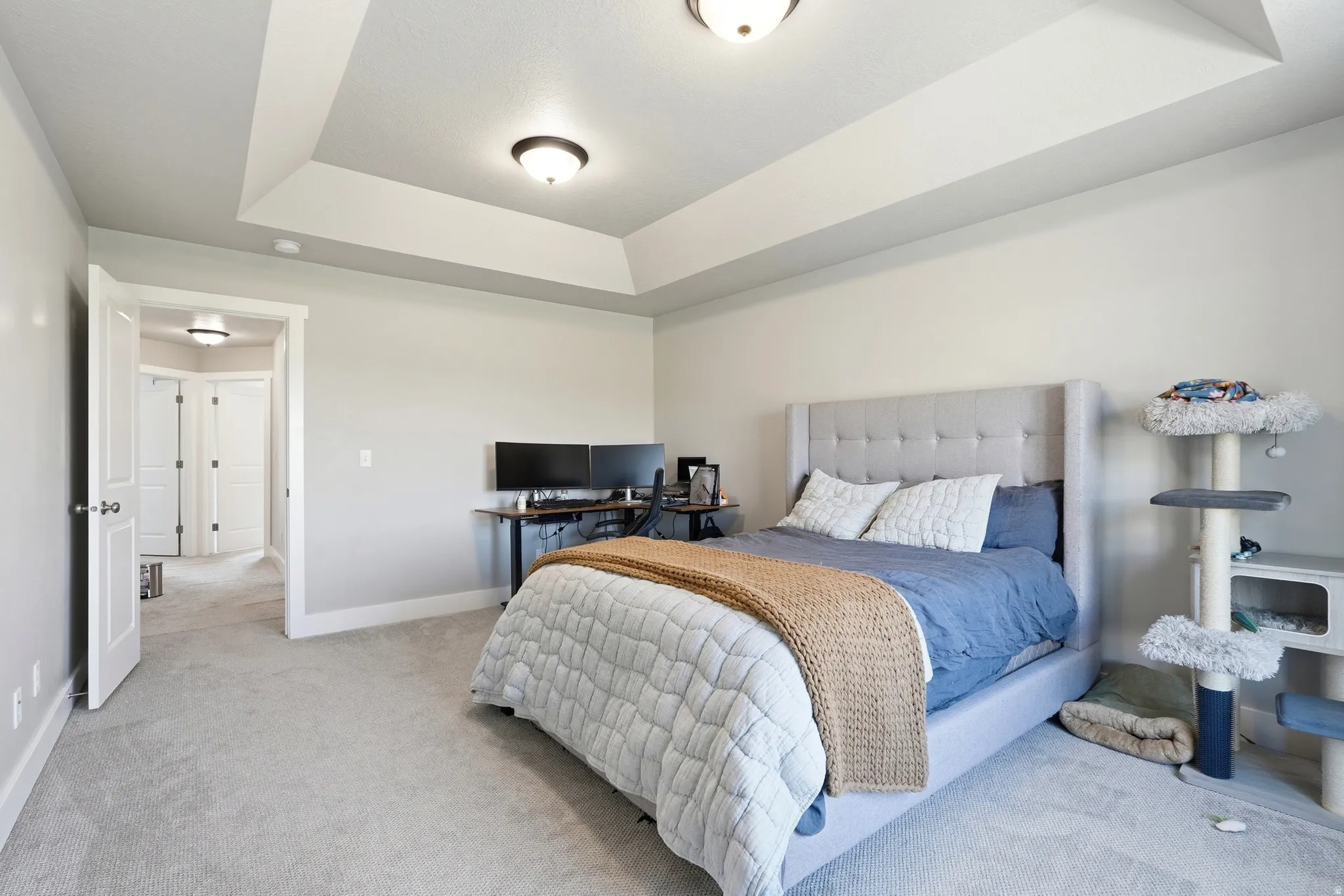 Tray ceiling with recessed lighting above wall-to-wall carpeting