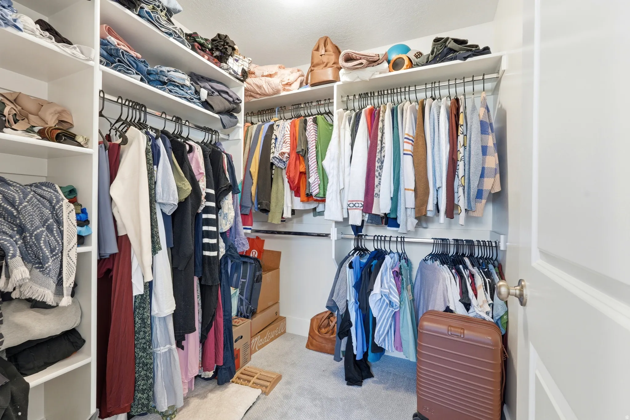 Primary Walk-in closet featuring white shelving, multiple hanging rods, and light-colored carpeting