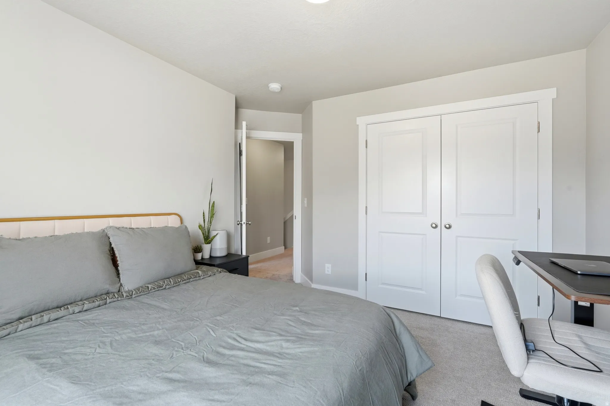 Carpeted room featuring light gray wall paint, white trim, and a white two-panel bi-fold closet door