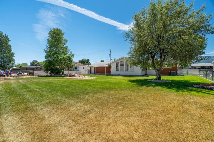 Expansive backyard featuring a mature tree, large lawn area, and a white fence bordering a portion of the property