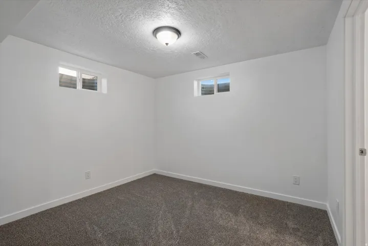 Carpeted room featuring white walls, white baseboards, two windows with blinds, and a flush-mount ceiling light