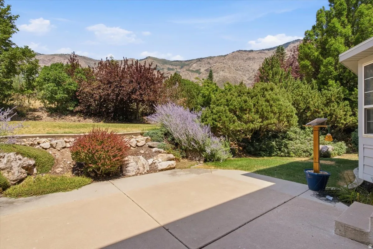 Concrete patio area with a sloped, landscaped yard featuring various shrubs and mature trees