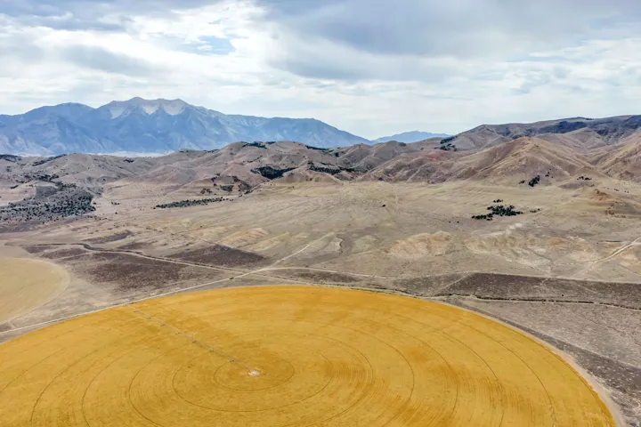Expansive agricultural land featuring a central pivot irrigation field