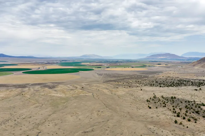 Expansive desert landscape with natural vegetation and distant mountain ranges