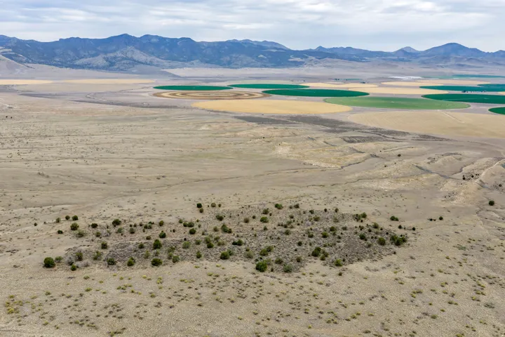 Expansive arid landscape featuring scattered low-lying vegetation and distant mountains