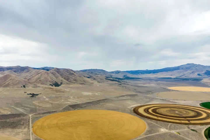 Expansive agricultural landscape featuring circular fields, mountainous terrain, and distant natural scenery