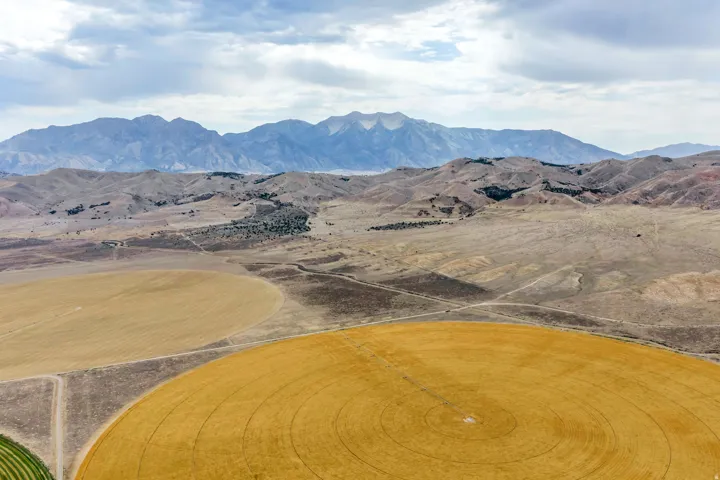 Expansive agricultural land featuring circular crop fields