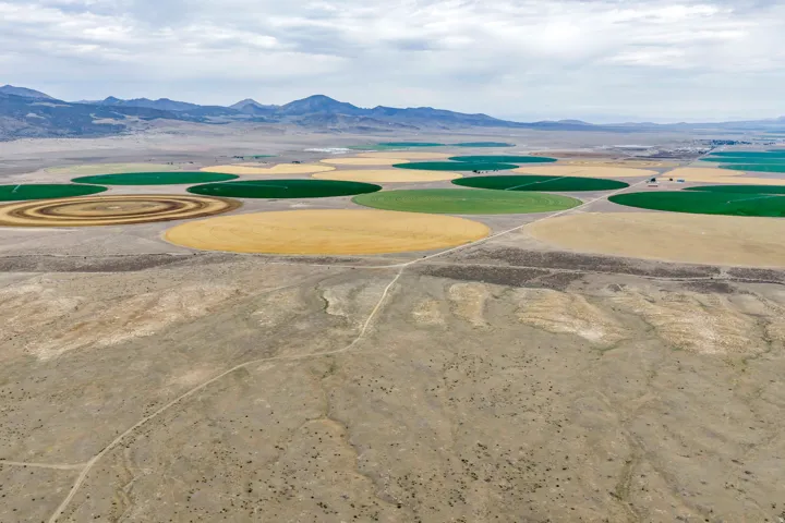 Expansive agricultural landscape featuring multiple circular fields under cultivation
