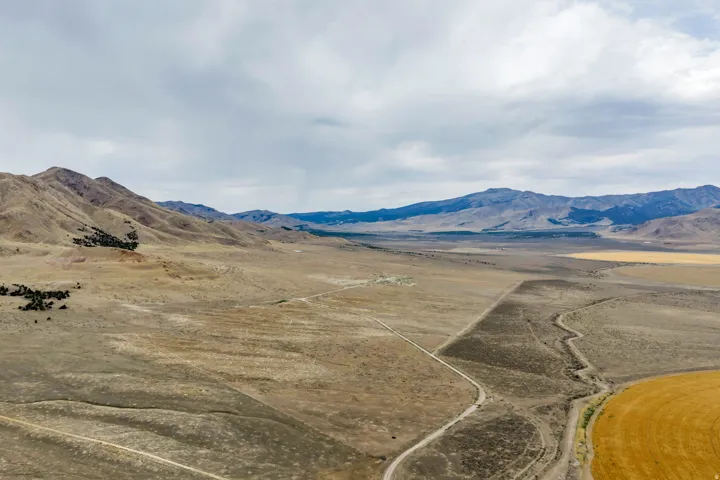 Expansive open land featuring a dirt road, distant mountains, scattered trees, and a circular agricultural field