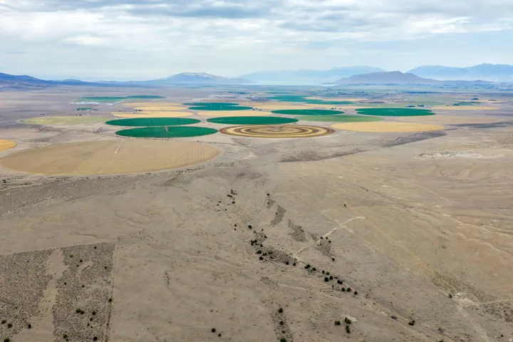 Expansive arid landscape featuring natural terrain and distant cultivated circular fields