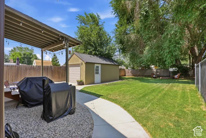 Expansive backyard