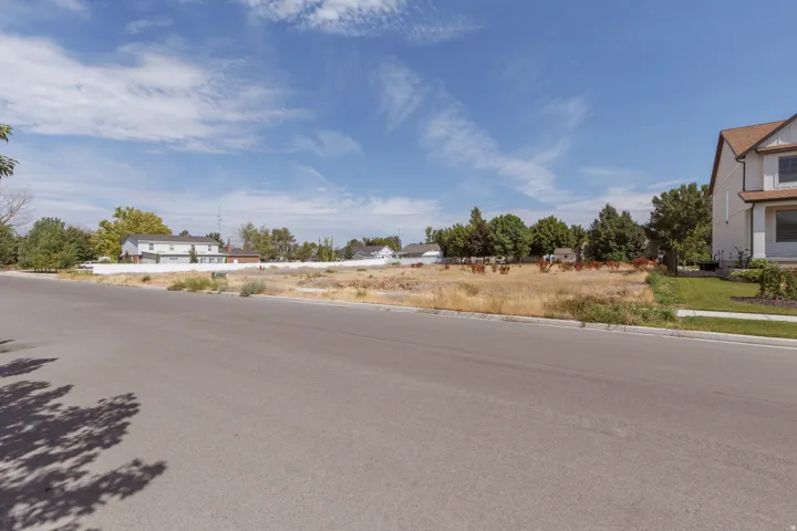Expansive undeveloped lot featuring natural vegetation and surrounding residential architecture