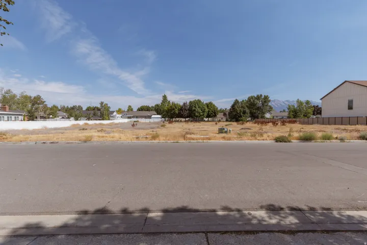 Expansive undeveloped lot with street frontage