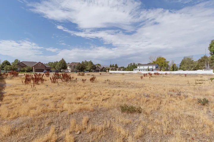 Expansive parcel featuring mature trees, surrounding residences, and a distant mountain range