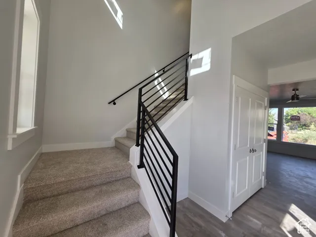 Staircase featuring a modern black metal railing and neutral carpet