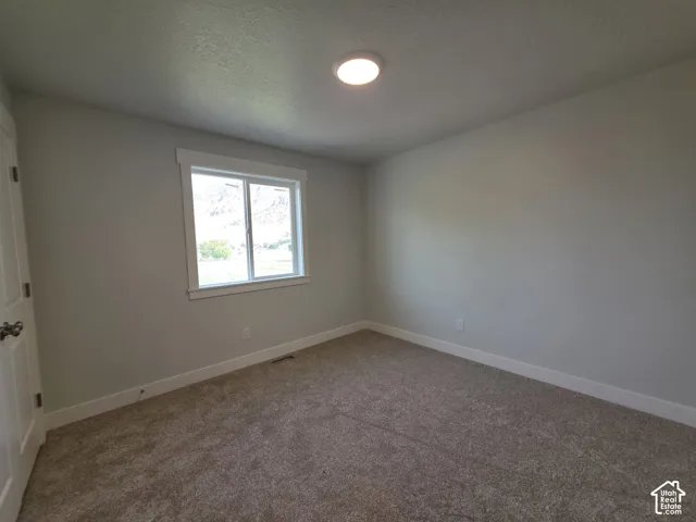 Neutral wall paint, carpet flooring, a window with white trim, and a flush mount ceiling light