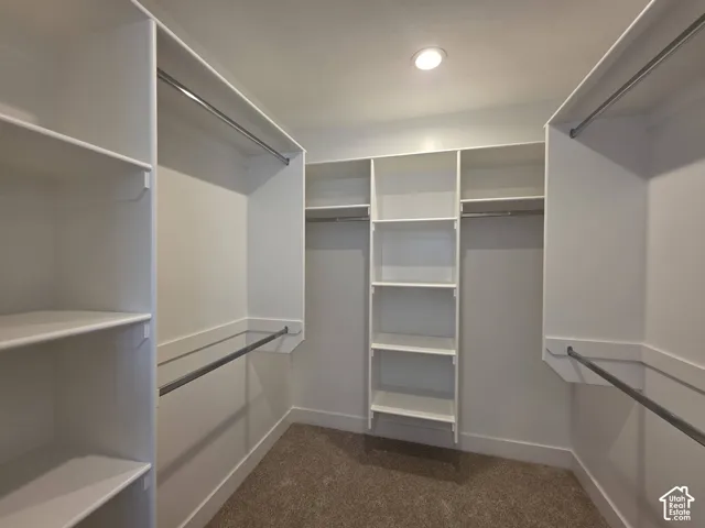 Walk-in closet featuring built-in shelving, multiple hanging rods, recessed ceiling lighting, and carpet flooring