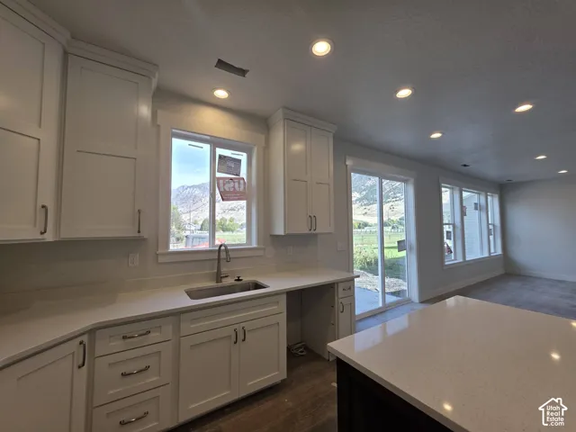 White shaker cabinetry, light-toned countertops, recessed lighting, stainless steel sink, and wood-finish flooring