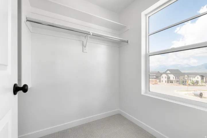 Bright interior space featuring a window, light gray carpet, white baseboards, and a white door with a black knob