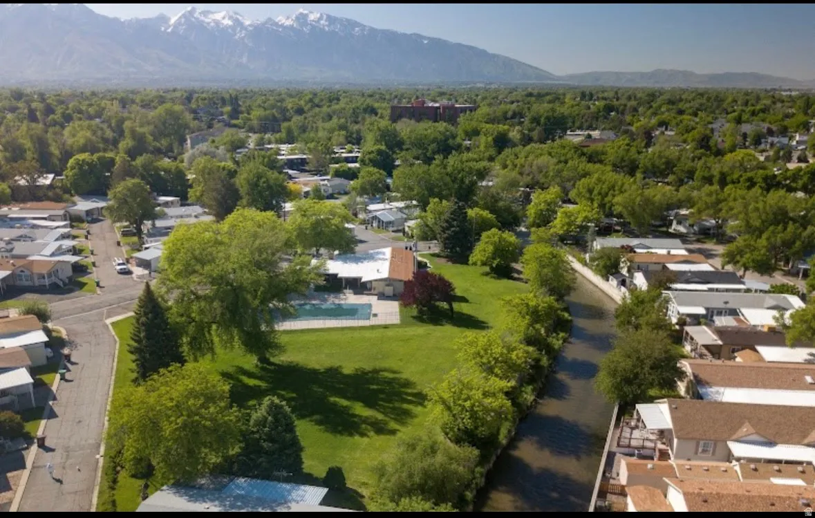 Expansive property featuring a large green lawn, mature trees, and an in-ground swimming pool