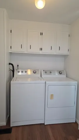 Dedicated utility area featuring wood-finish flooring, overhead cabinetry, and a ceiling-mounted light fixture