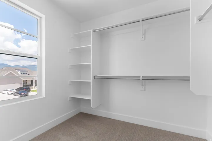 Walk-in closet with built-in shelving, dual hanging rods, a large window, and light-toned carpeting