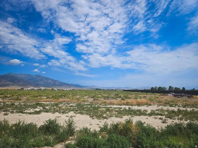 Development Opportunity – Open land ready for your commercial or industrial vision.