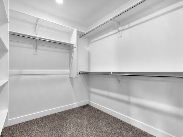 Walk-in closet featuring white walls, a single recessed light fixture, shelving, hanging rods, and carpeted flooring