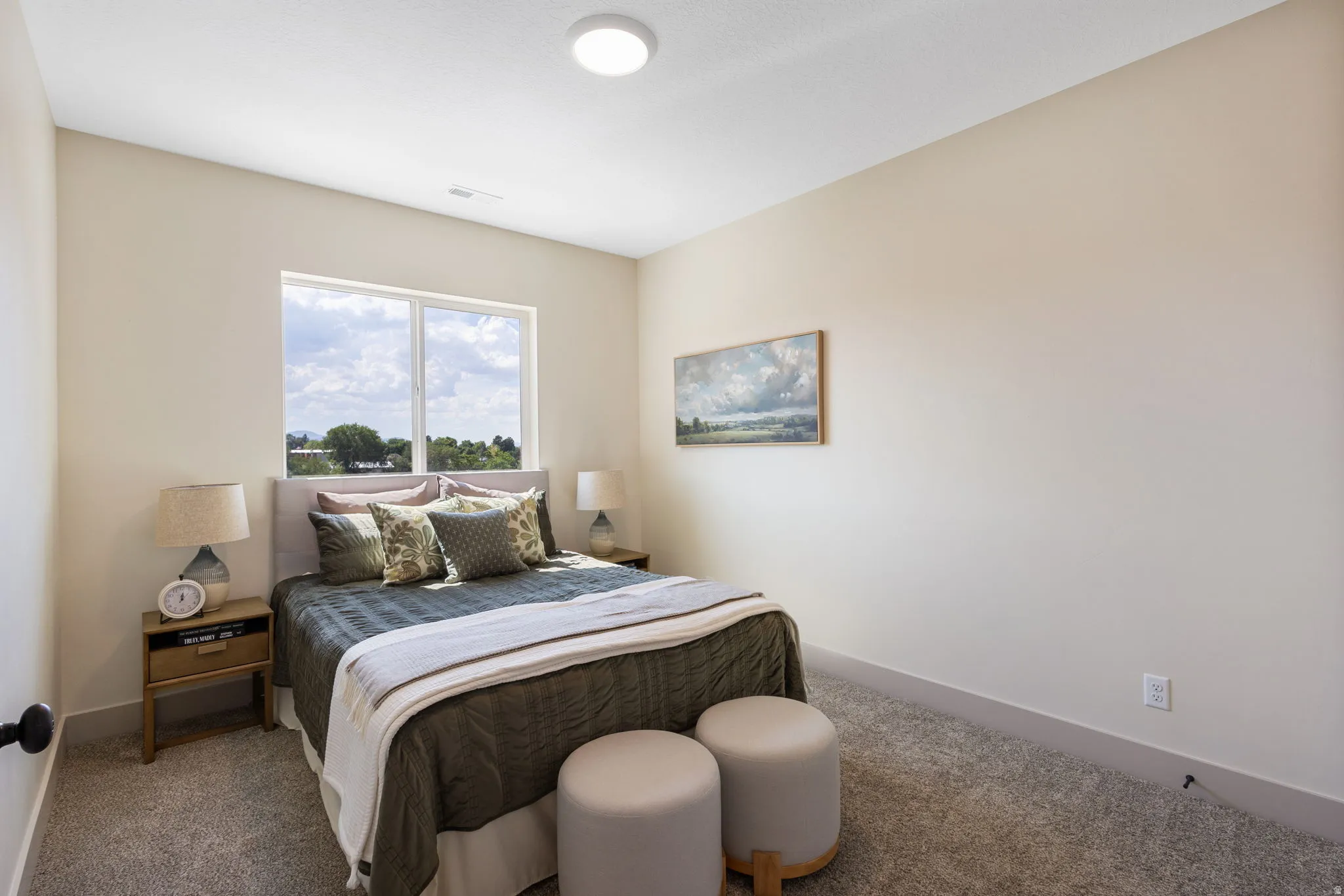 Light-filled room featuring neutral wall tones, plush carpeting, a large window, and a flush-mount ceiling light