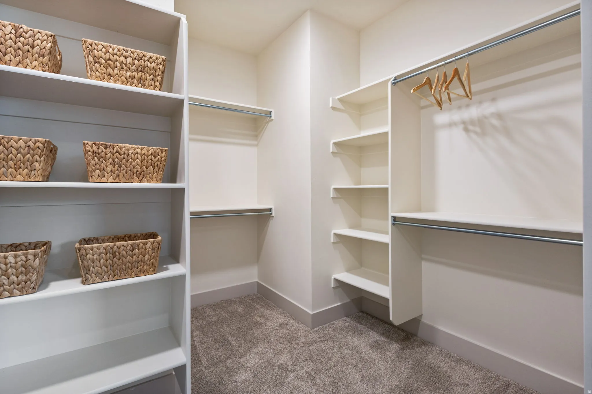 Spacious walk-in closet featuring extensive built-in shelving, multiple hanging rods, and plush carpeting